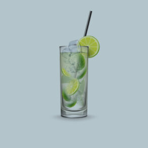 Crafting the perfect gin tonic feature photo
